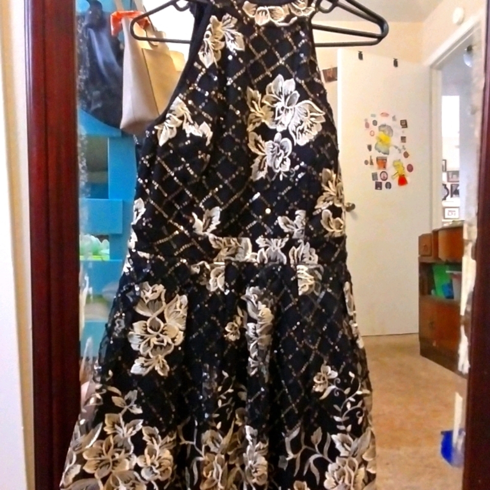 Windsor Gold and Black formal dress